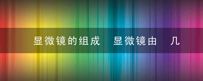 显微镜的组成 显微镜由 几部分组成？